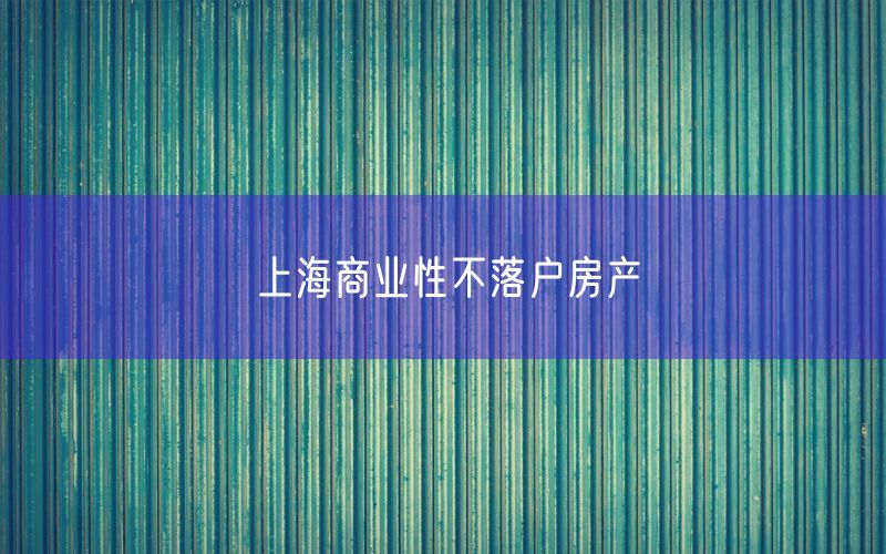 上海商业性不落户房产