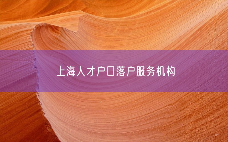 上海人才户口落户服务机构