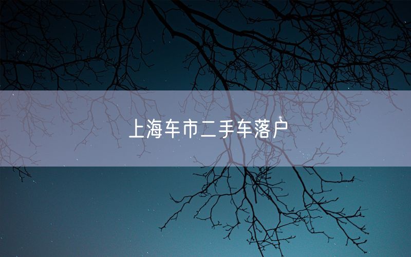 上海车市二手车落户