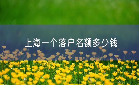 上海一个落户名额多少钱