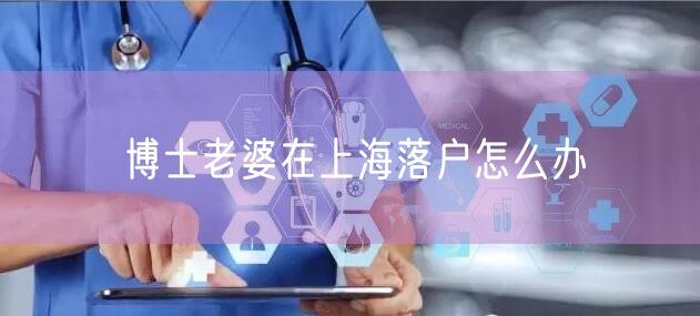 博士老婆在上海落户怎么办