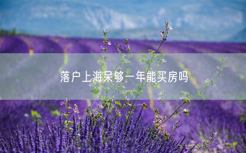 落户上海呆够一年能买房吗