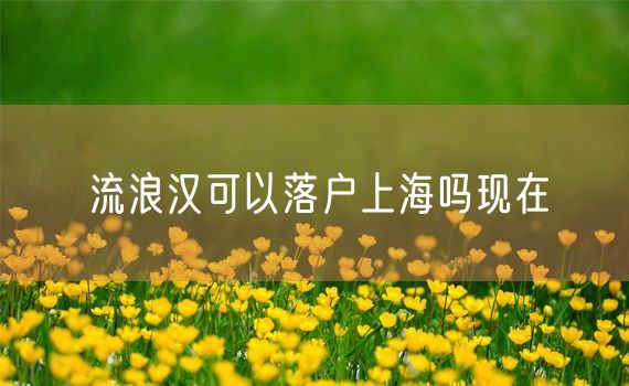流浪汉可以落户上海吗现在