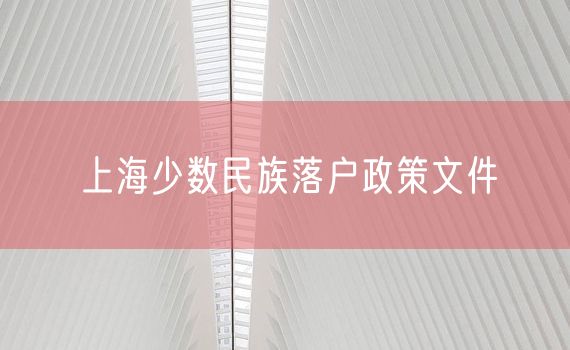 上海少数民族落户政策文件