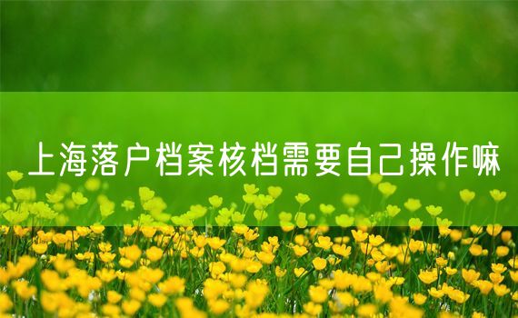 上海落户档案核档需要自己操作嘛