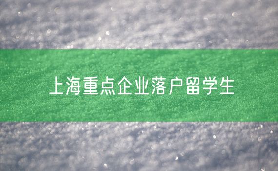 上海重点企业落户留学生