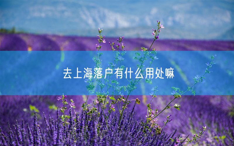 去上海落户有什么用处嘛