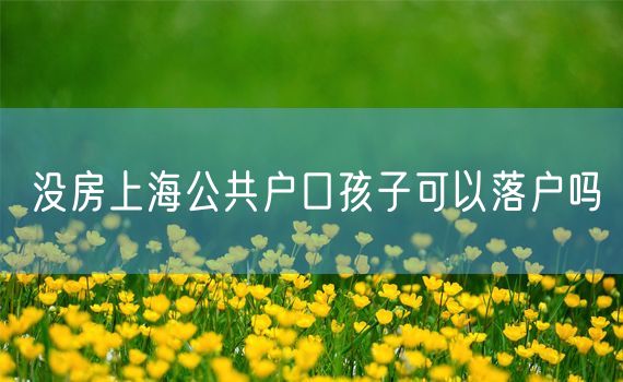 没房上海公共户口孩子可以落户吗