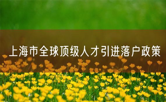 上海市全球顶级人才引进落户政策