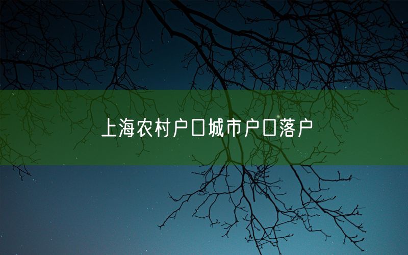 上海农村户口城市户口落户