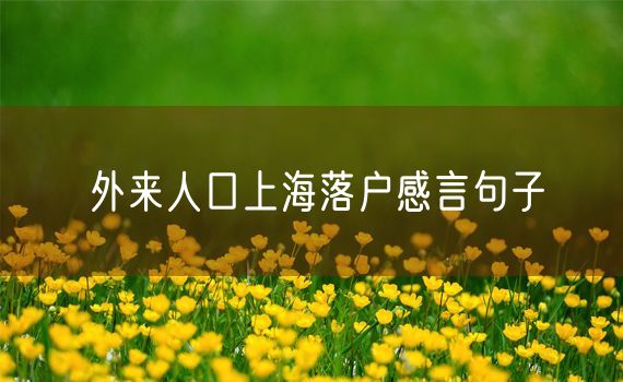 外来人口上海落户感言句子