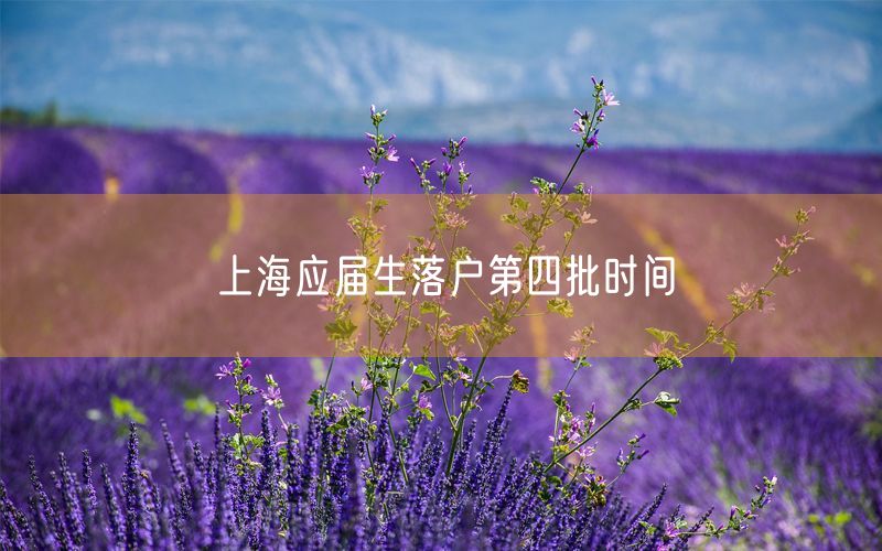 上海应届生落户第四批时间