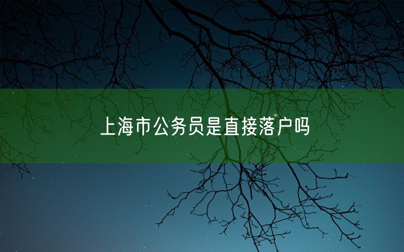上海市公务员是直接落户吗