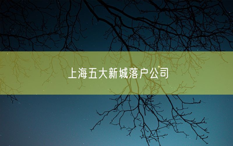 上海五大新城落户公司