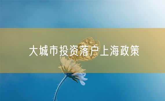 大城市投资落户上海政策