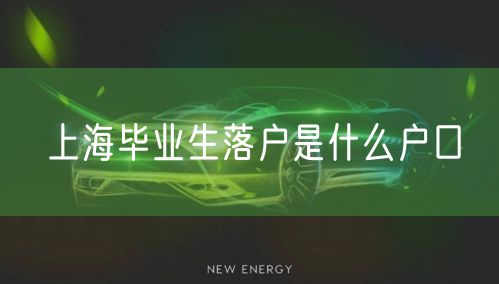 上海毕业生落户是什么户口