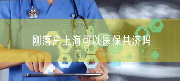 刚落户上海可以医保共济吗
