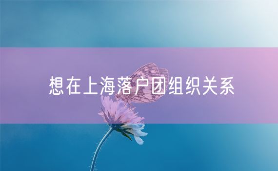 想在上海落户团组织关系