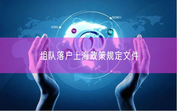 组队落户上海政策规定文件