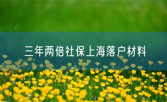 三年两倍社保上海落户材料