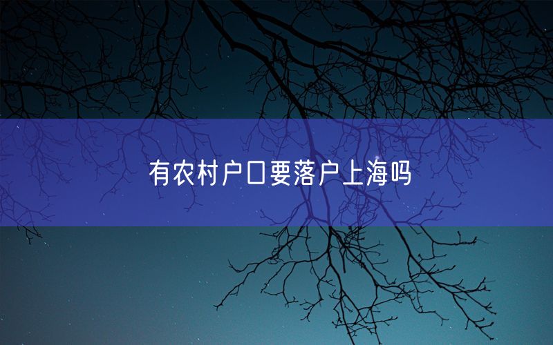 有农村户口要落户上海吗