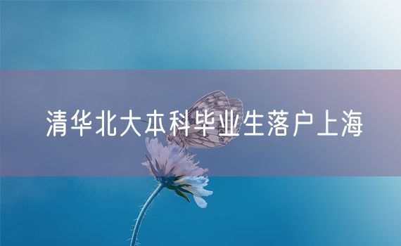 清华北大本科毕业生落户上海