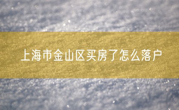 上海市金山区买房了怎么落户