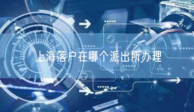 上海落户在哪个派出所办理