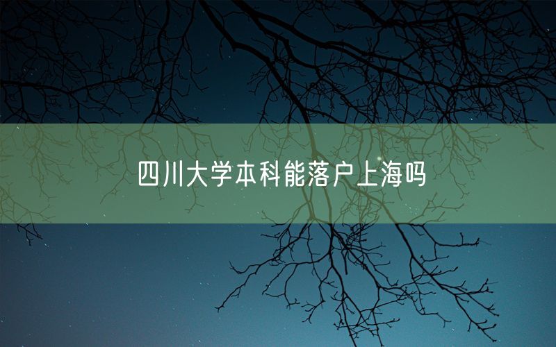 四川大学本科能落户上海吗