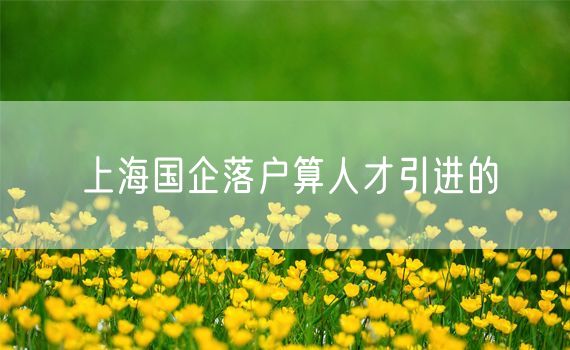上海国企落户算人才引进的