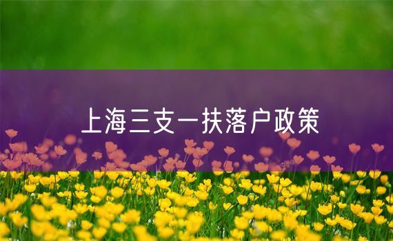 上海三支一扶落户政策
