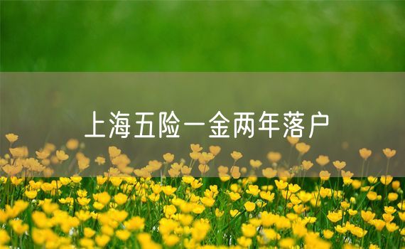 上海五险一金两年落户