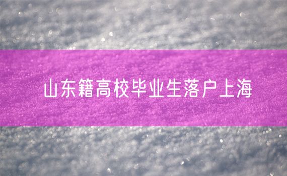 山东籍高校毕业生落户上海