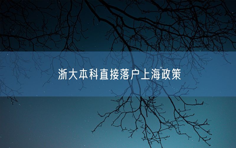 浙大本科直接落户上海政策