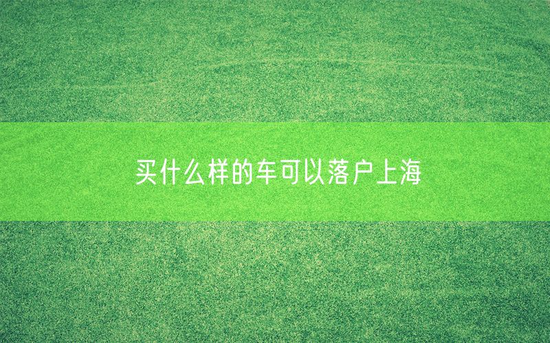 买什么样的车可以落户上海