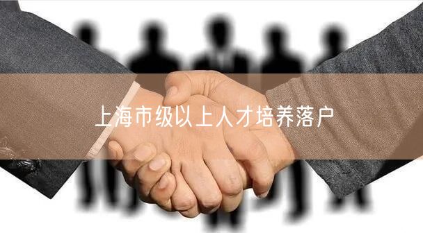 上海市级以上人才培养落户