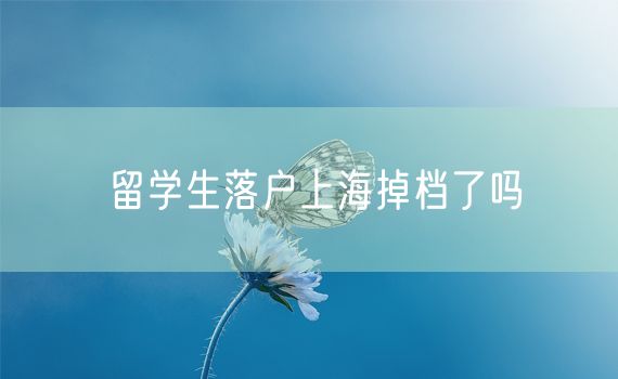 留学生落户上海掉档了吗