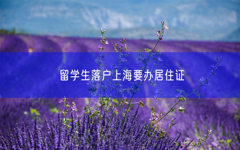 留学生落户上海要办居住证