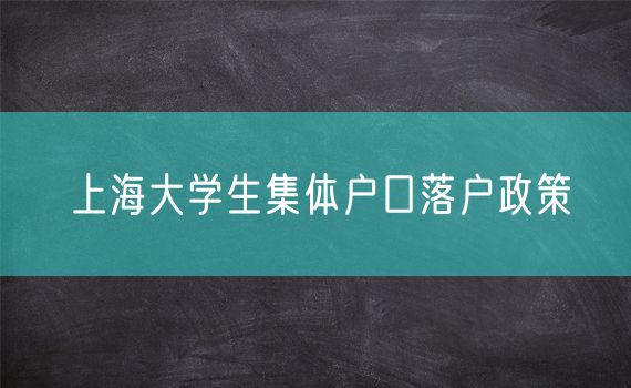 上海大学生集体户口落户政策