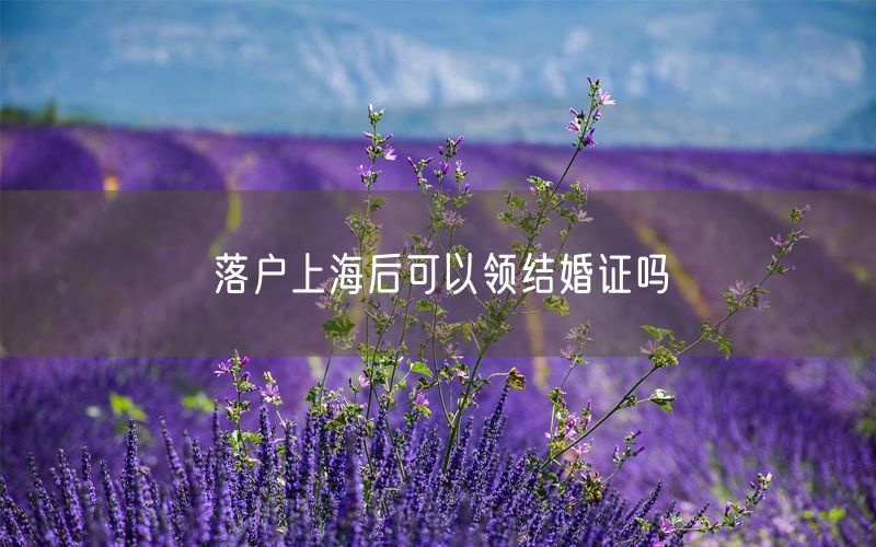 落户上海后可以领结婚证吗