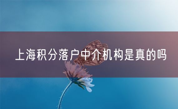 上海积分落户中介机构是真的吗