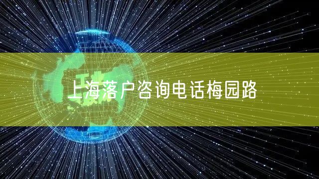 上海落户咨询电话梅园路