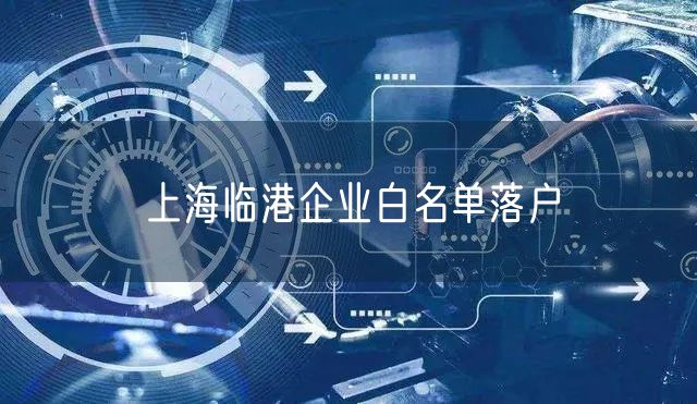 上海临港企业白名单落户