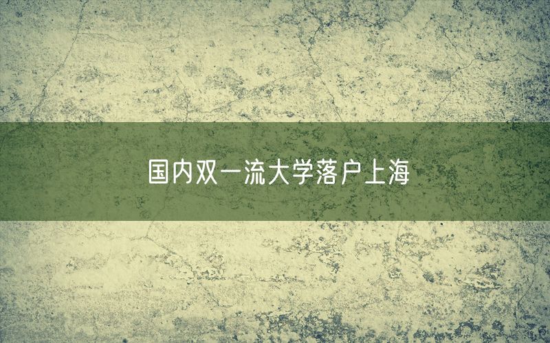 国内双一流大学落户上海