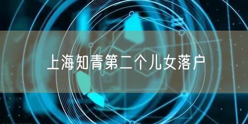 上海知青第二个儿女落户