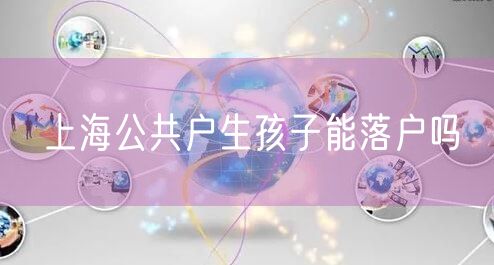 上海公共户生孩子能落户吗