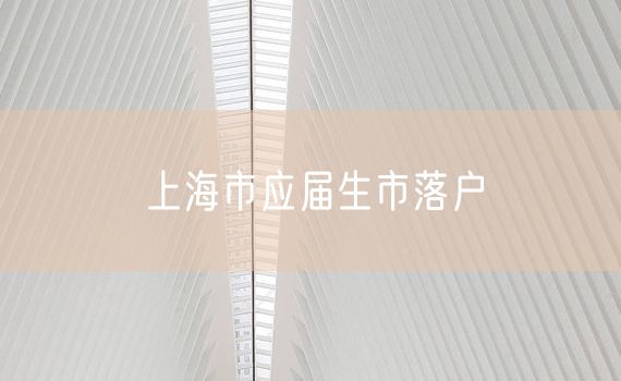上海市应届生市落户