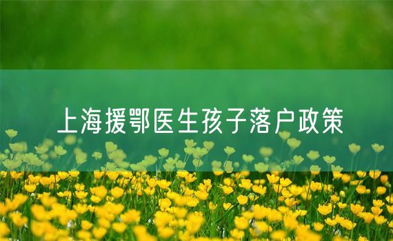 上海援鄂医生孩子落户政策
