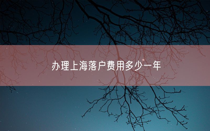 办理上海落户费用多少一年