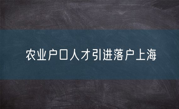 农业户口人才引进落户上海